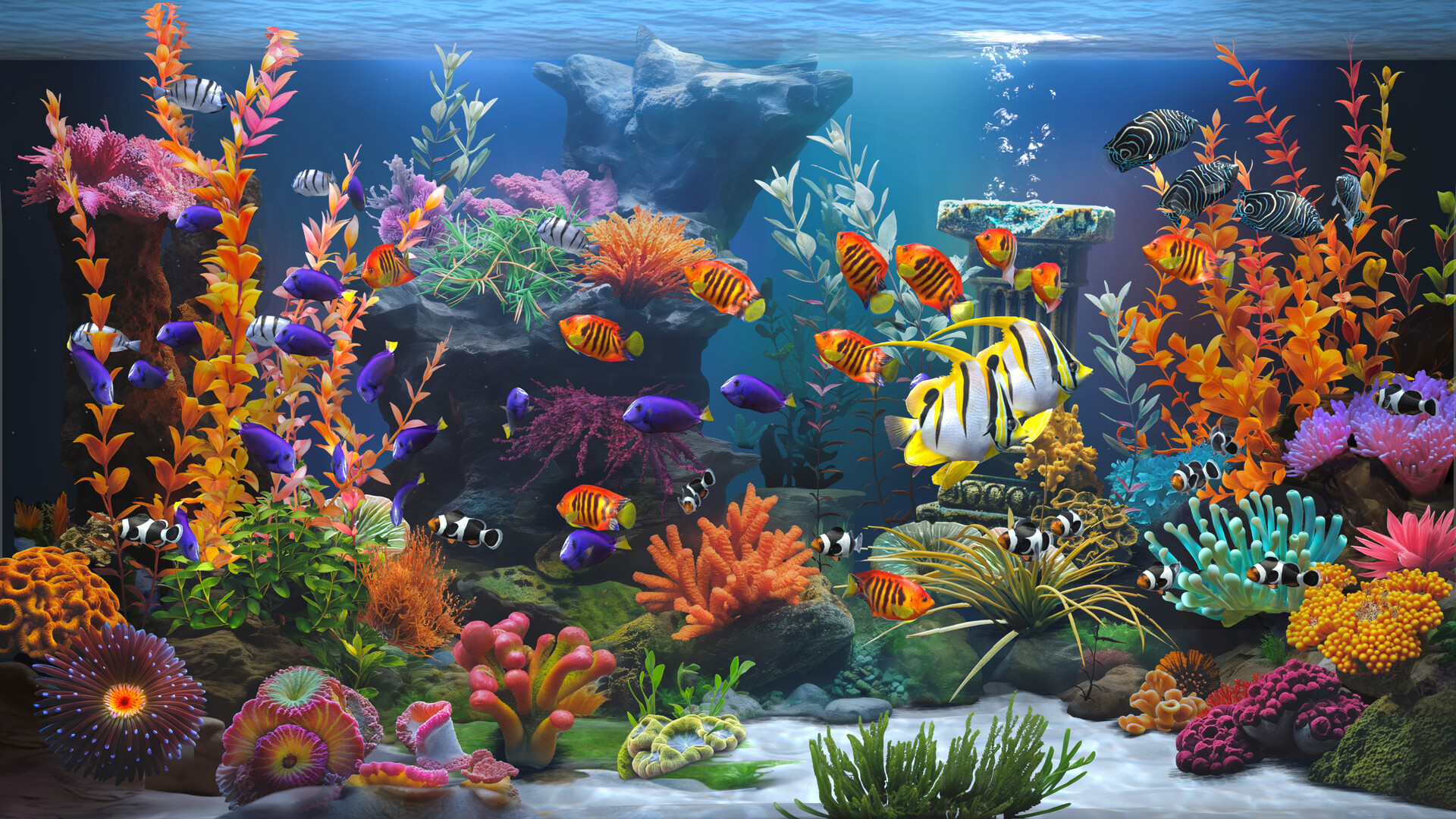 禅意水族馆 (Zen Aquarium)