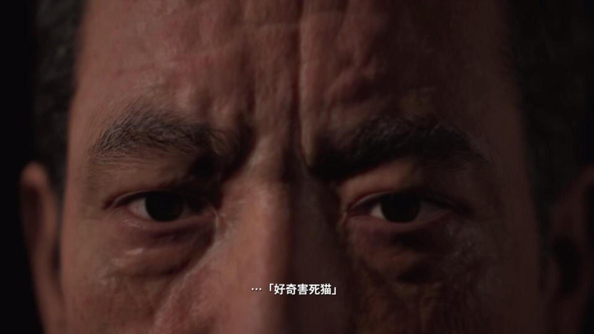 全景监视者 (Panopticon)