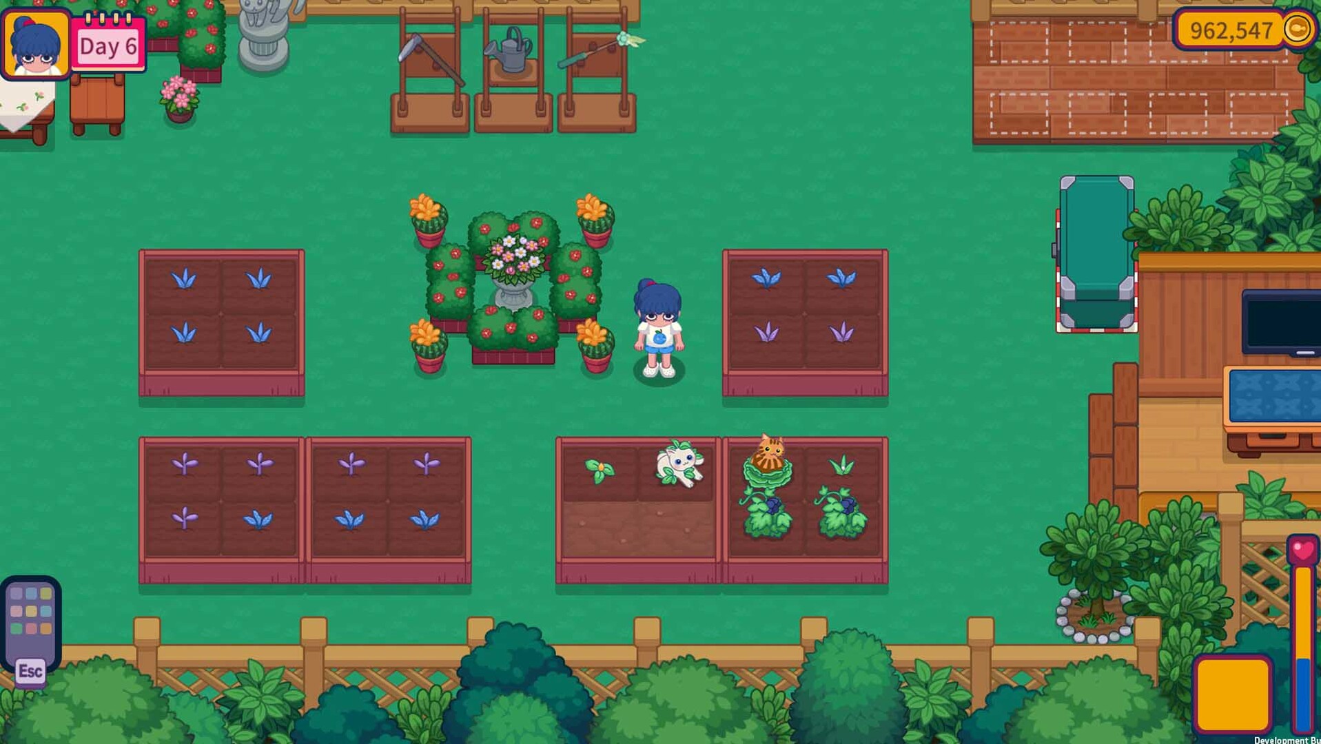 猫咪花园 Meow Garden