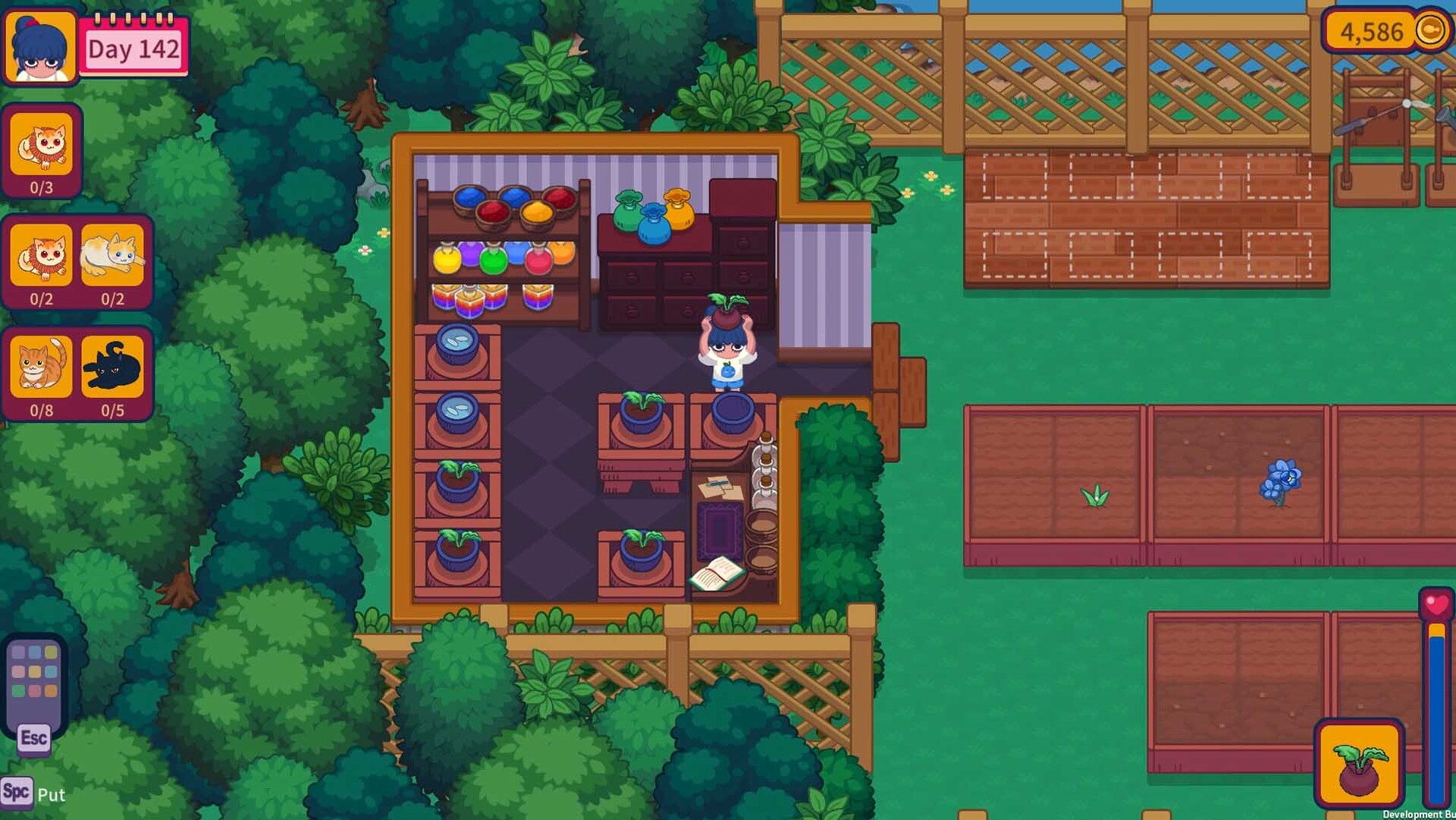 猫咪花园 Meow Garden