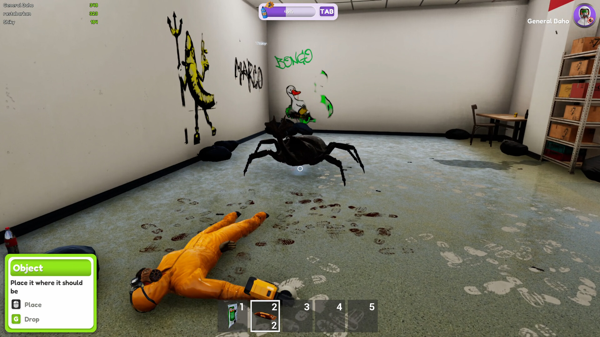 Bug Cleaners