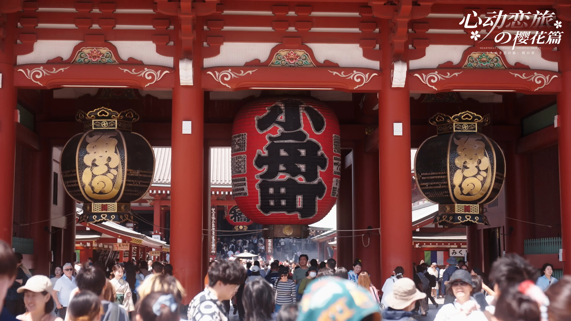 心动恋旅：樱花篇|官方中文|Blossom Voyage