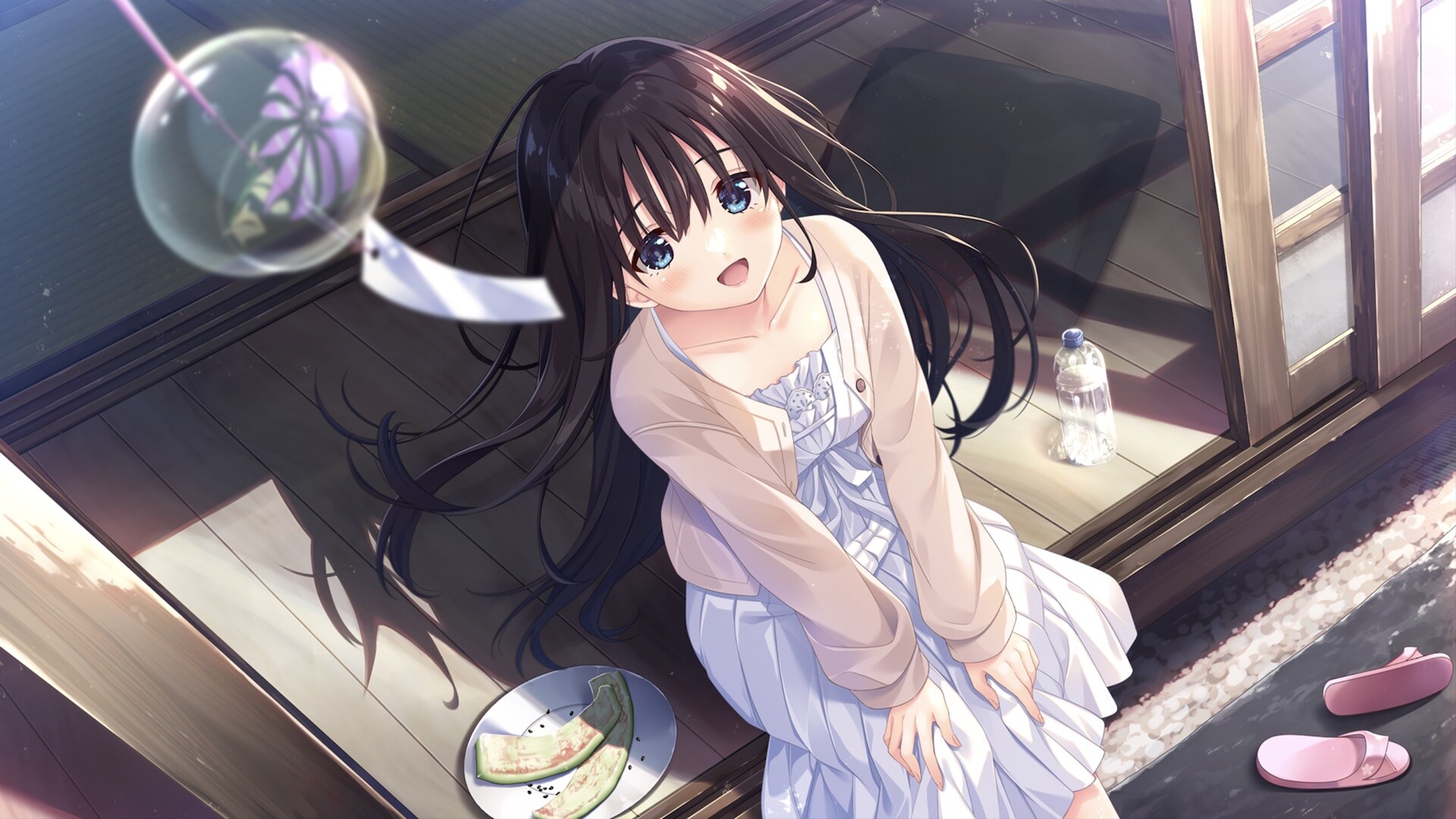 痴情哥哥与病弱妹妹的乡间生活|官方中文|Sickly Days and Summer Traces插图1