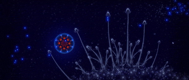 图片[1]-微生物世界：细胞生存/Microcosmum: survival of cells（整合静态扩展包）-秋风资源网