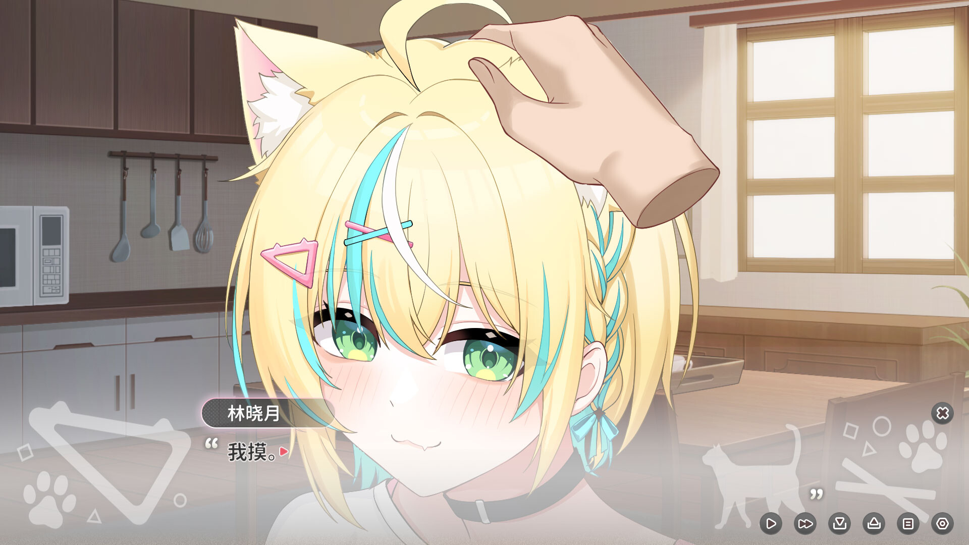 Neko Diary🐾 猫愿日记