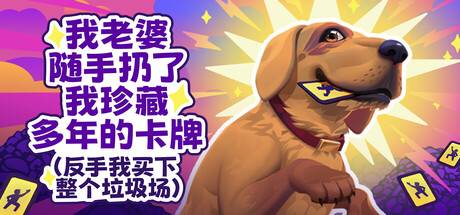 老婆随手扔了我多年珍藏卡牌 (My Wife Threw Out My Card Collection)