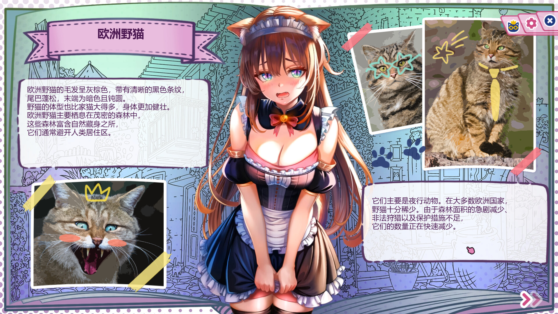 猫娘百科:寻找她的小尾巴|Nekopedia: Find Her Tail|官方中文|容量2.86G插图5vexvex 截图 #3