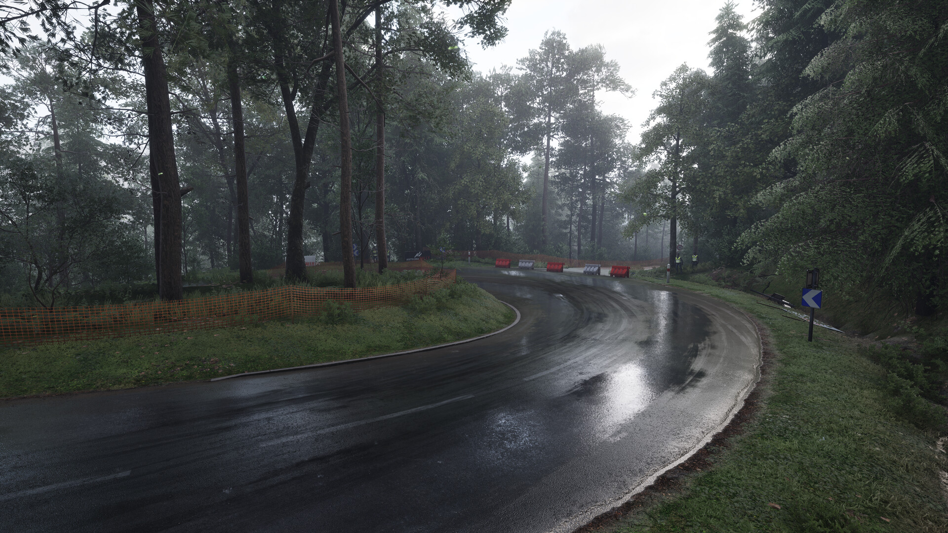 图片[39]-神力科莎：拉力（Assetto Corsa Rally）免安装中文版下载-蒸汽游戏宝库 - 高质量Steam单机游戏下载站