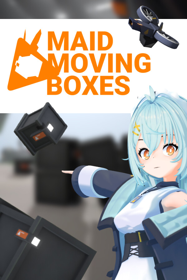 MAID MOVING BOXES