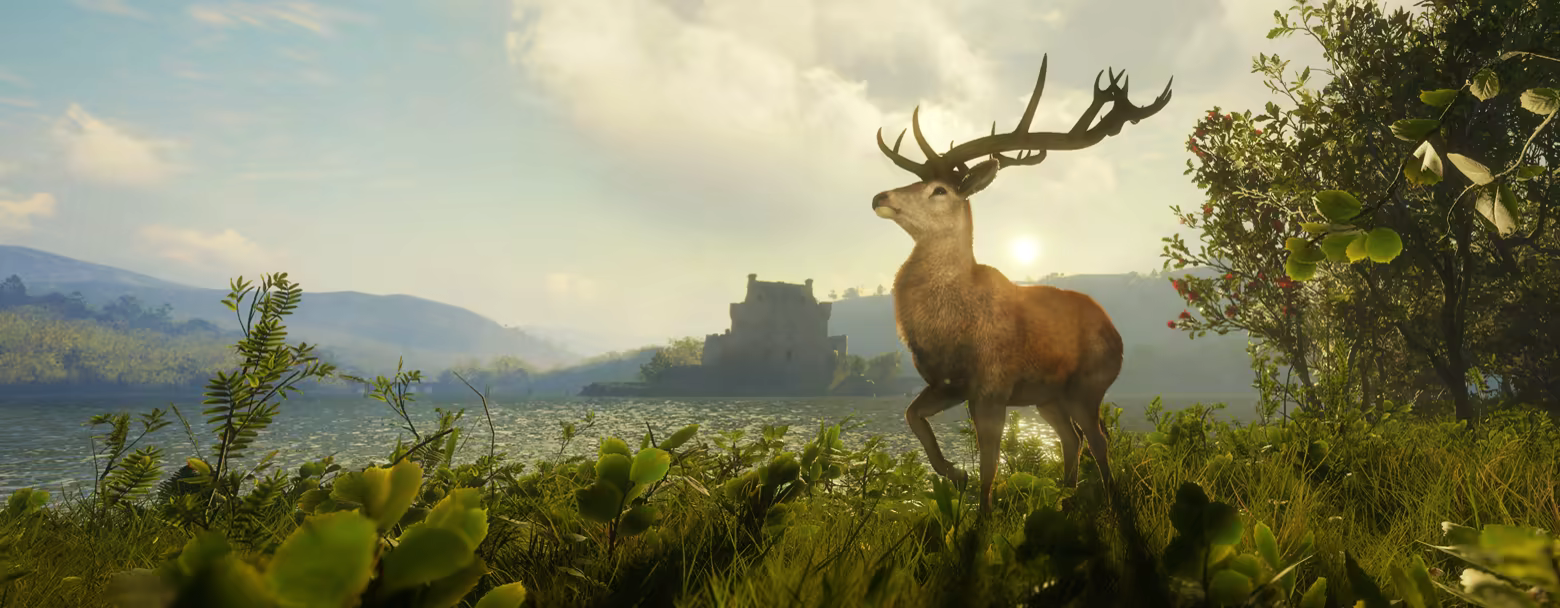 猎人：荒野的召唤DLC补丁v251213：苏格兰狩猎保护区