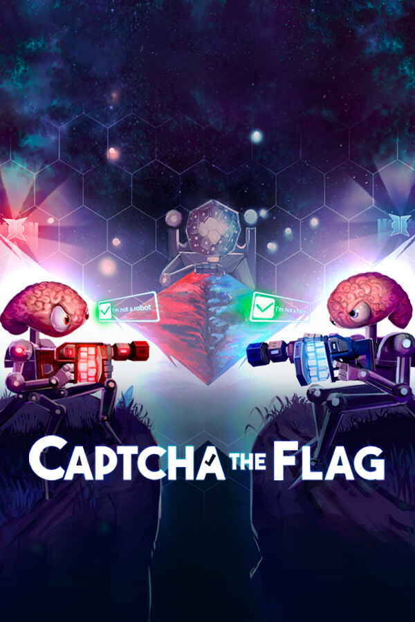 Captcha The Flag