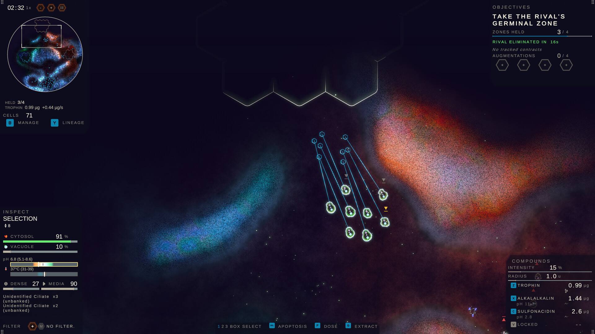 Substrate: Emergence