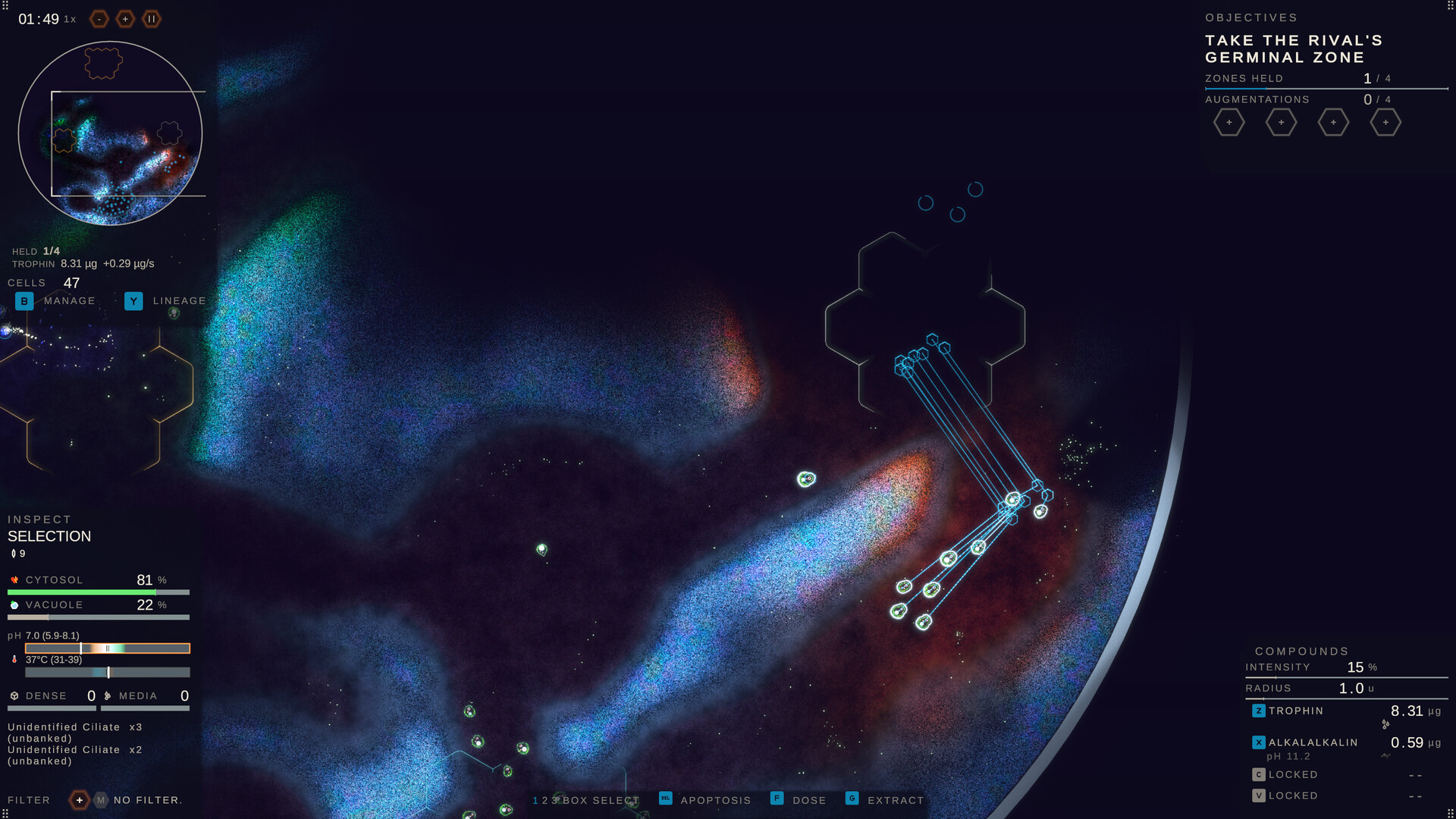 Substrate: Emergence