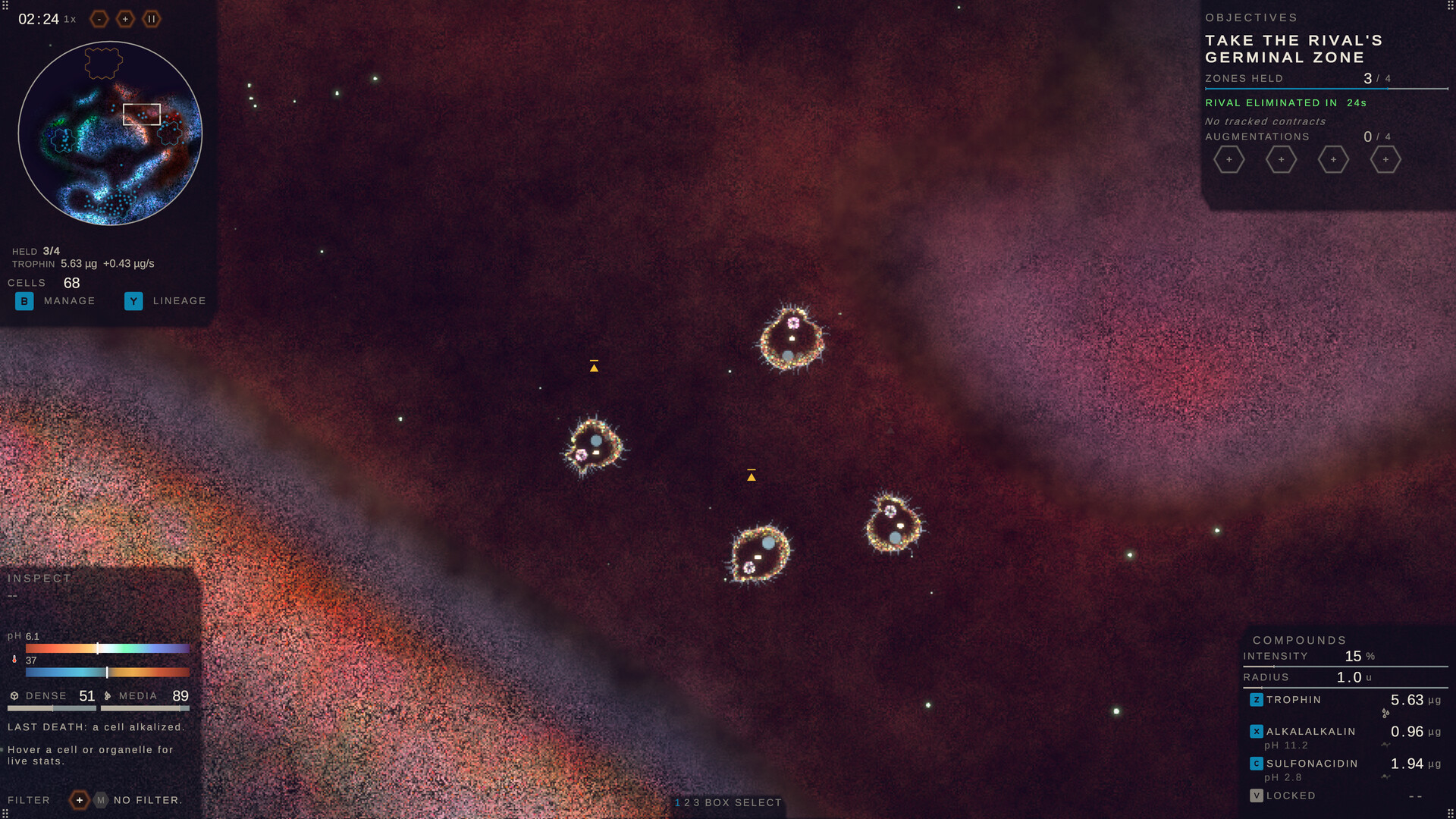 Substrate: Emergence