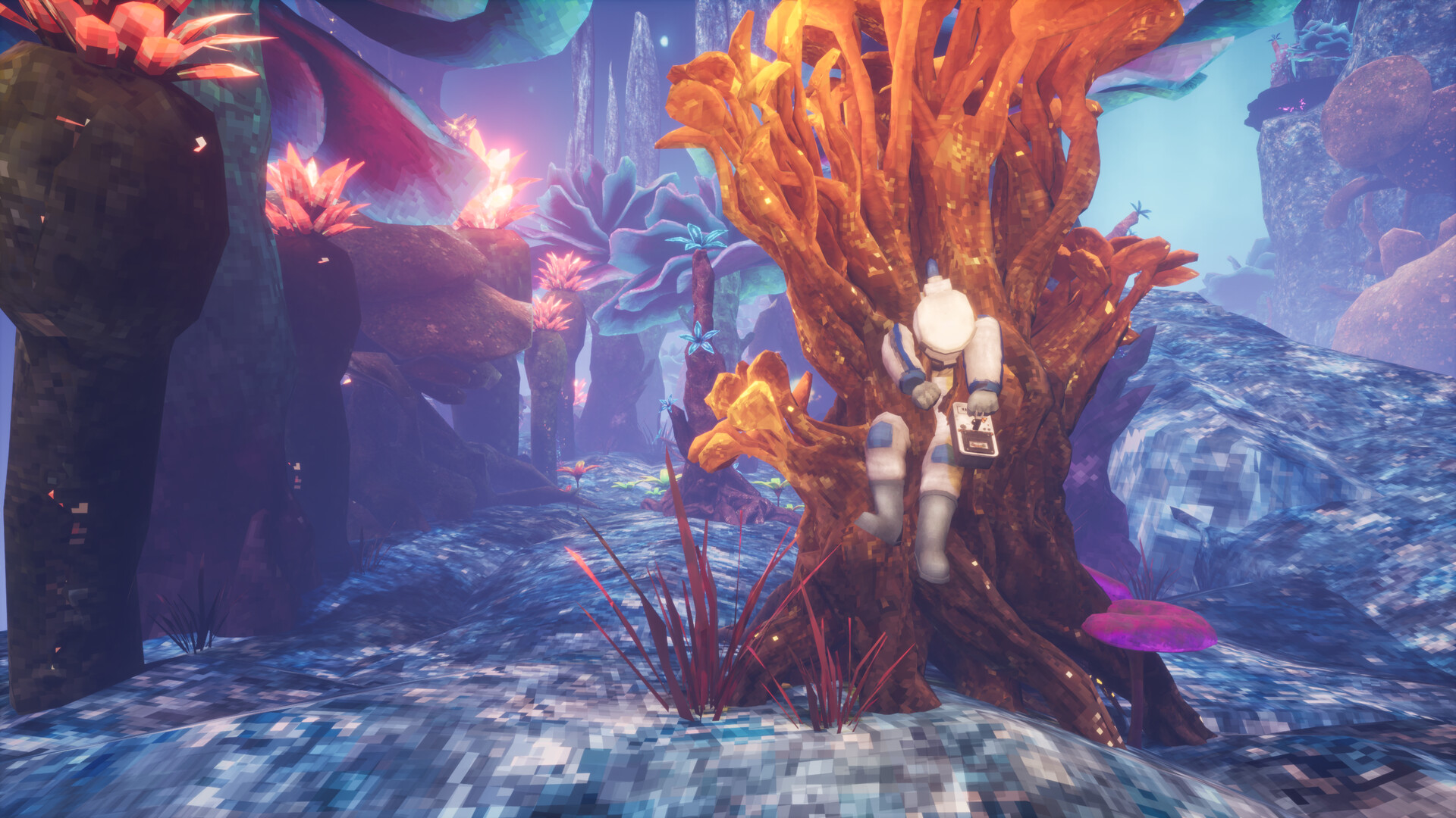 非生物因素|Abiotic Factor|0.10.0.15175