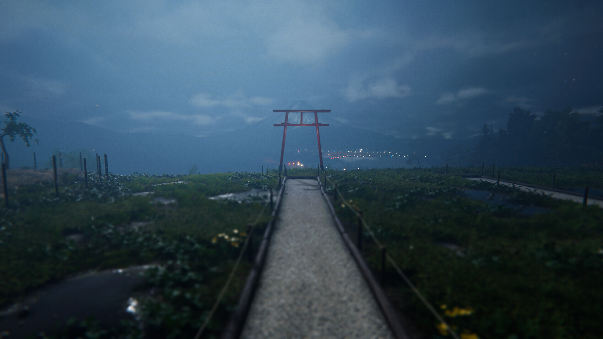 Project Sakura: 樱花计划