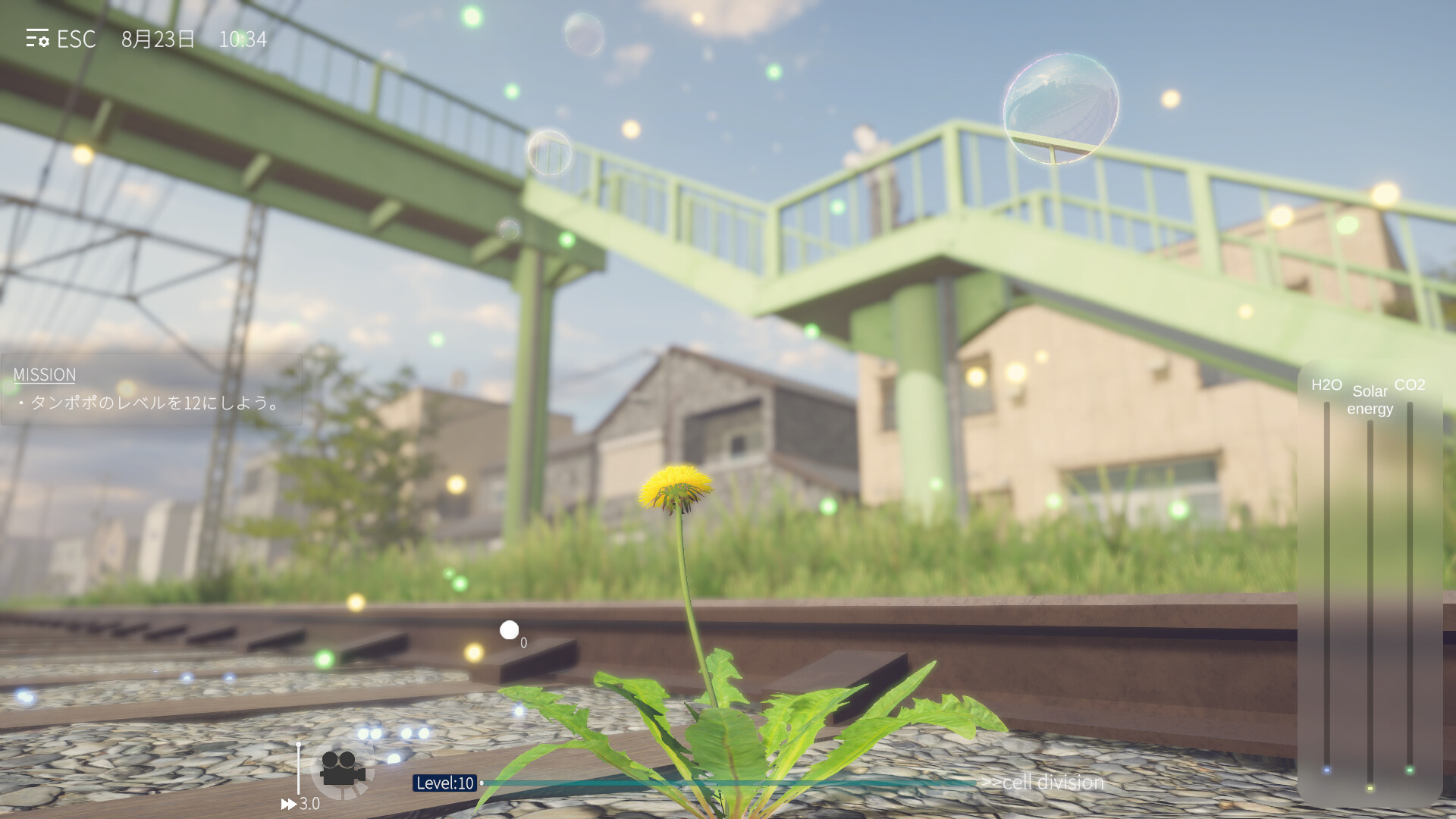 蒲公英不屈。|The Dandelion Endures.|Build.24918221|官方简体中文|支持手柄|容量6.5GB
