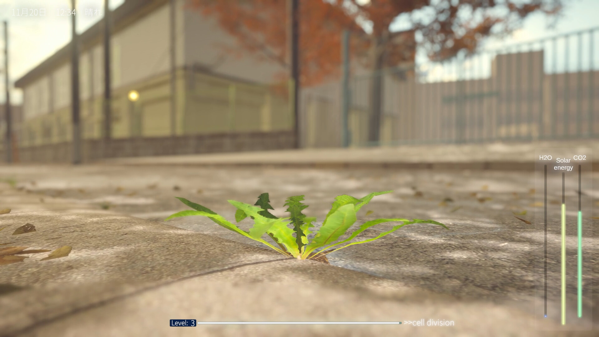 蒲公英不屈。|The Dandelion Endures.|Build.24918221|官方简体中文|支持手柄|容量6.5GB