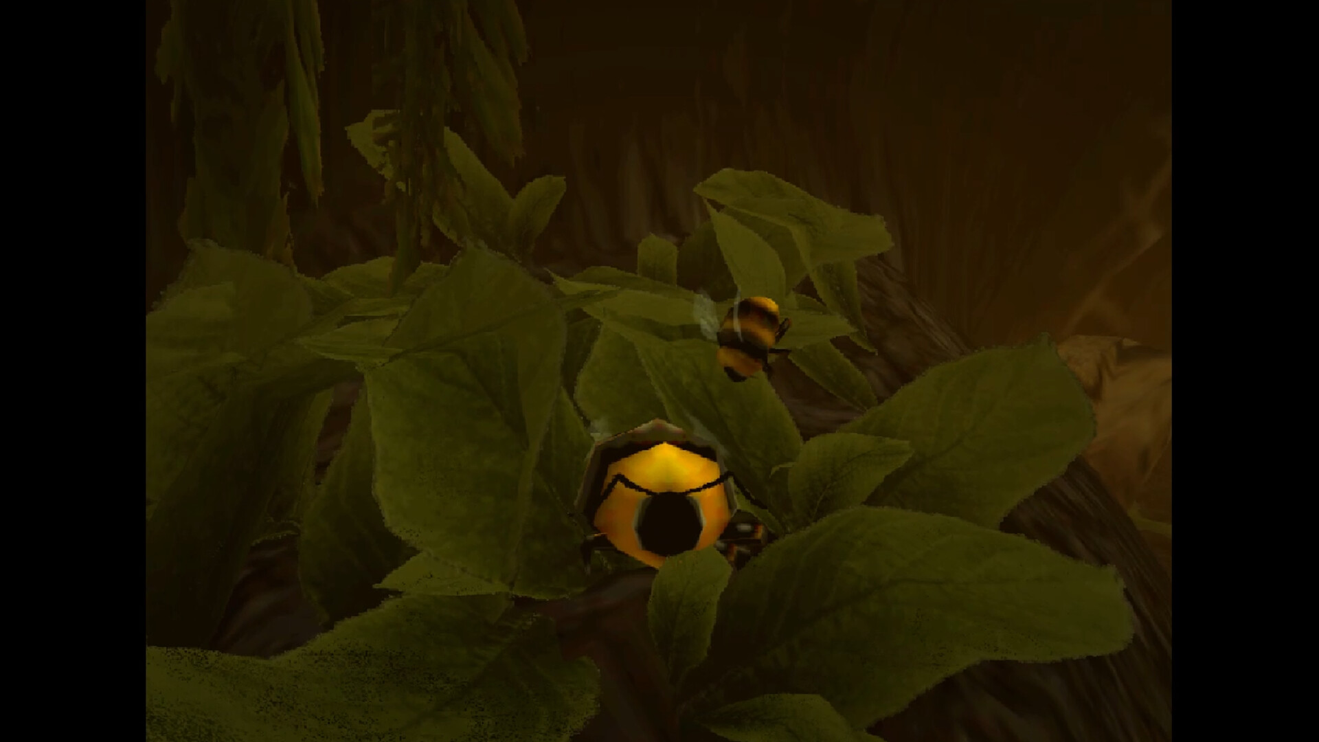 Tumblebee《熊蜂滚滚》