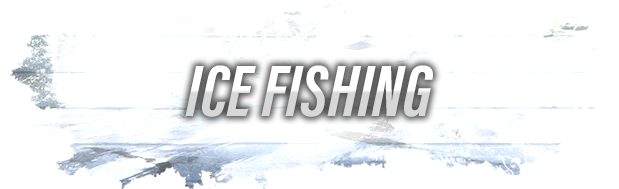 终极钓鱼模拟|v2.3.24.02.141|全DLC|官方中文|支持手柄|Ultimate Fishing Simulator插图4跳跳游戏网