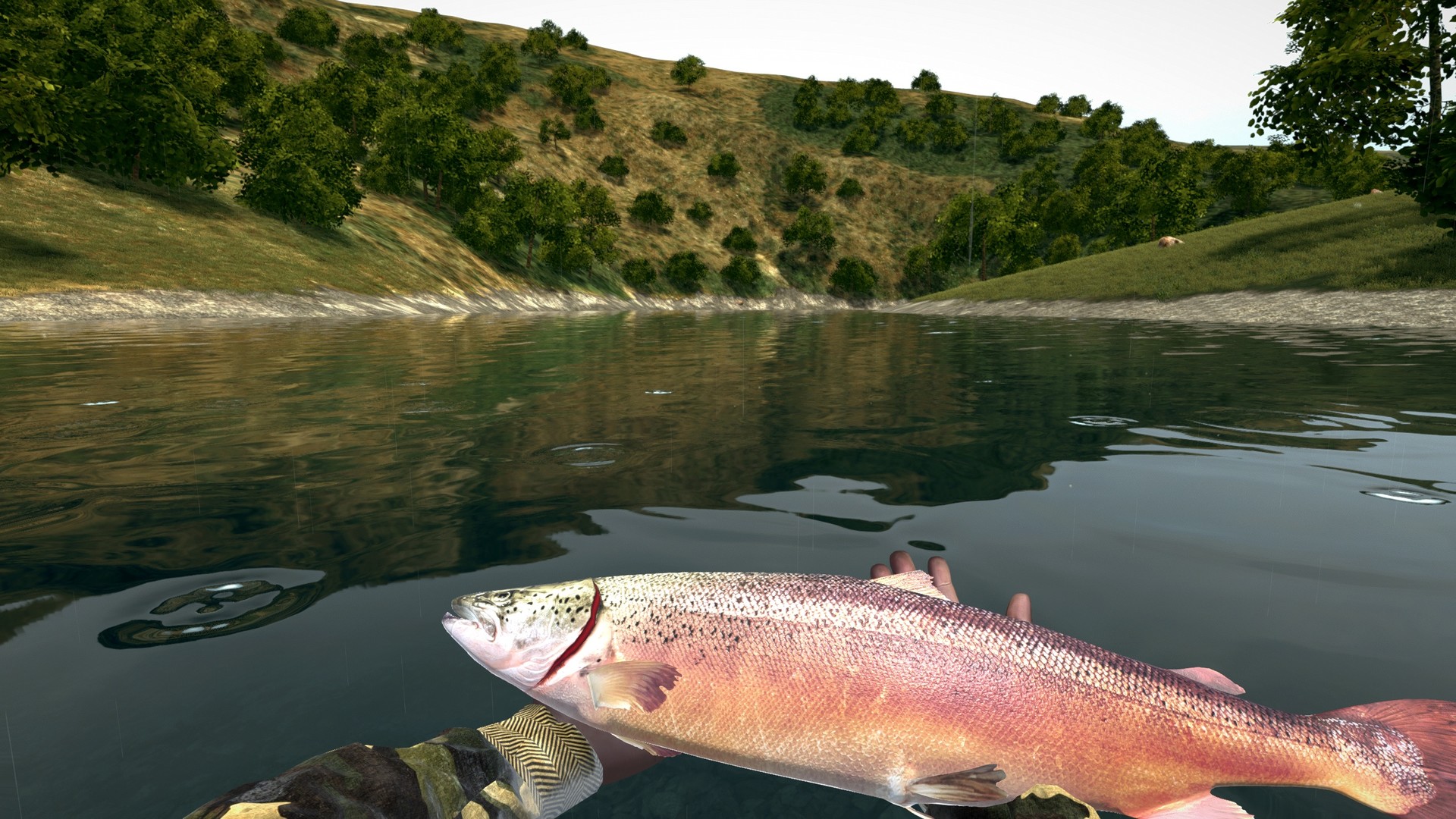终极钓鱼模拟|v2.3.24.02.141|全DLC|官方中文|支持手柄|Ultimate Fishing Simulator插图8跳跳游戏网