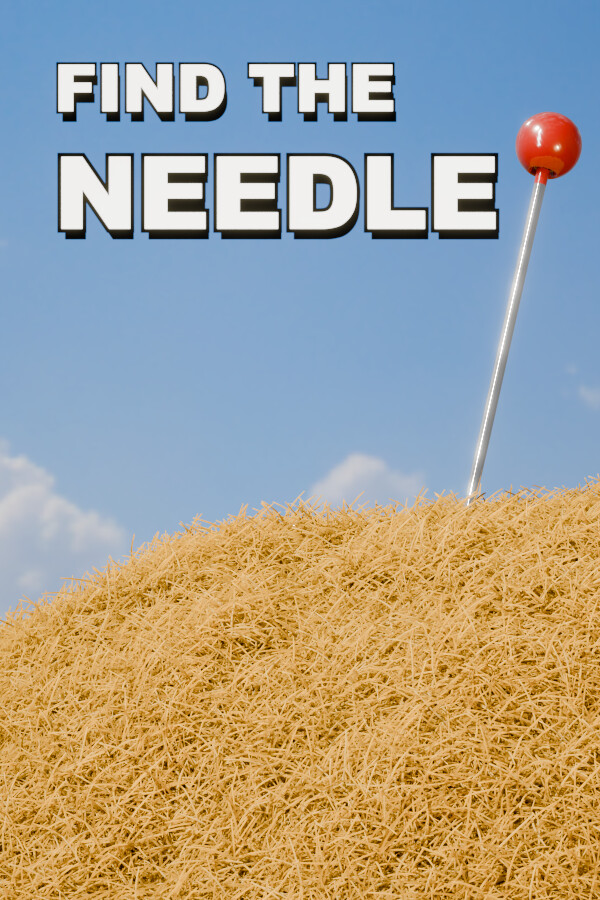 Find The Needle