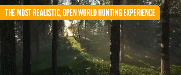 猎人：荒野的召唤/theHunter: Call of the Wild/支持网络联机第1张