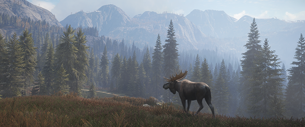 图片[1]-猎人：野性的呼唤/theHunter: Call of the Wild（更新v2703646—更新大口径武器包DLC）-秋风资源网