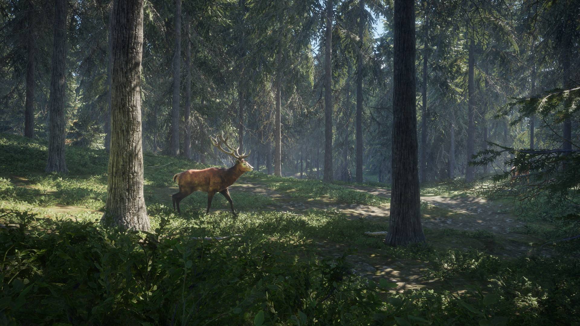 猎人:荒野的召唤|TheHunter Call of The Wild|3037268|整合全DLC