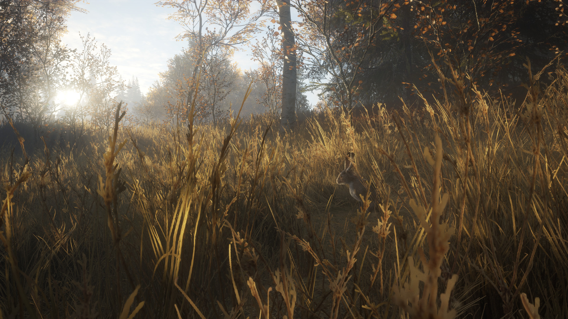 猎人:荒野的召唤|TheHunter Call of The Wild|3037268|整合全DLC