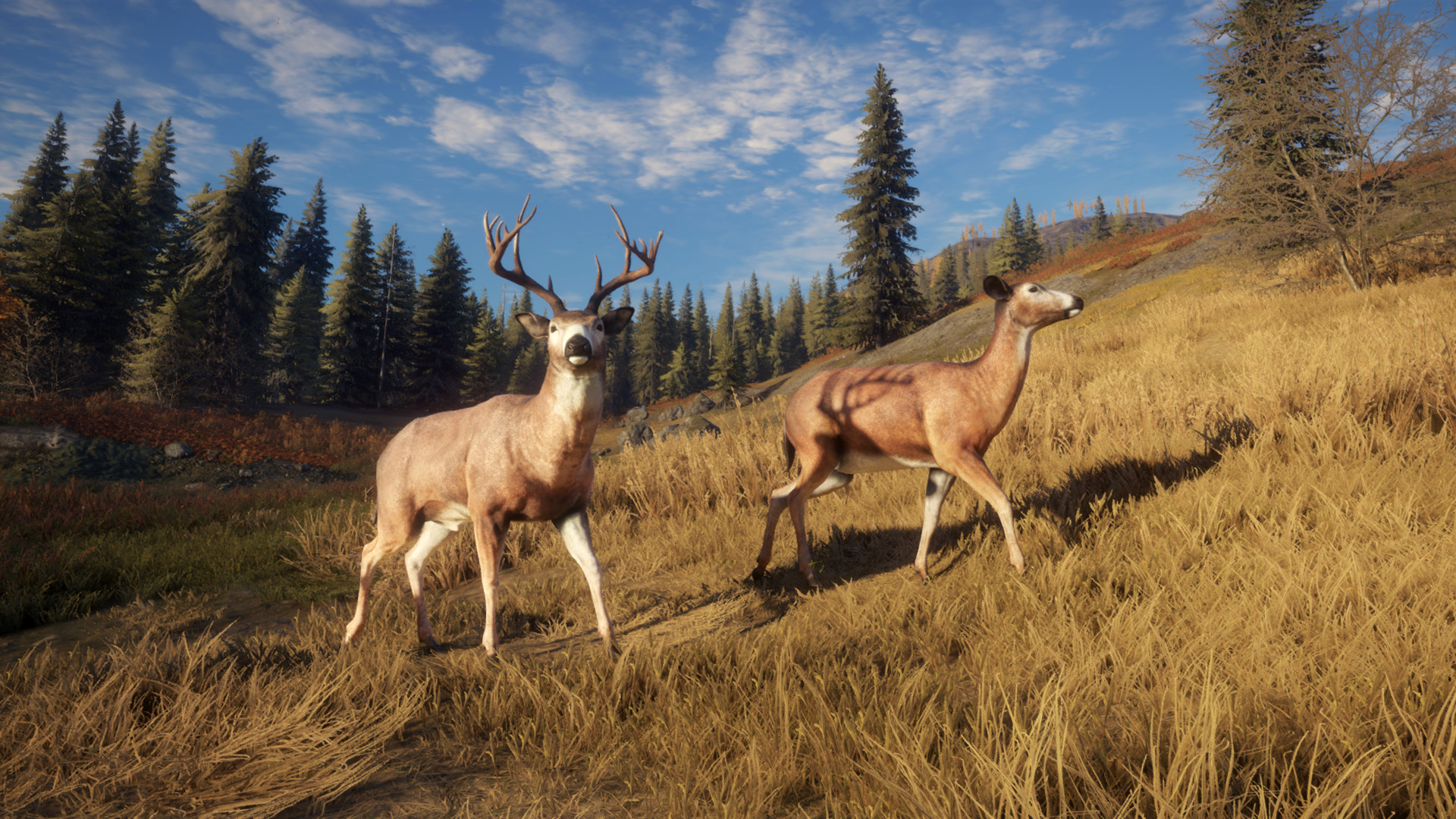 猎人:荒野的召唤|TheHunter Call of The Wild|3037268|整合全DLC