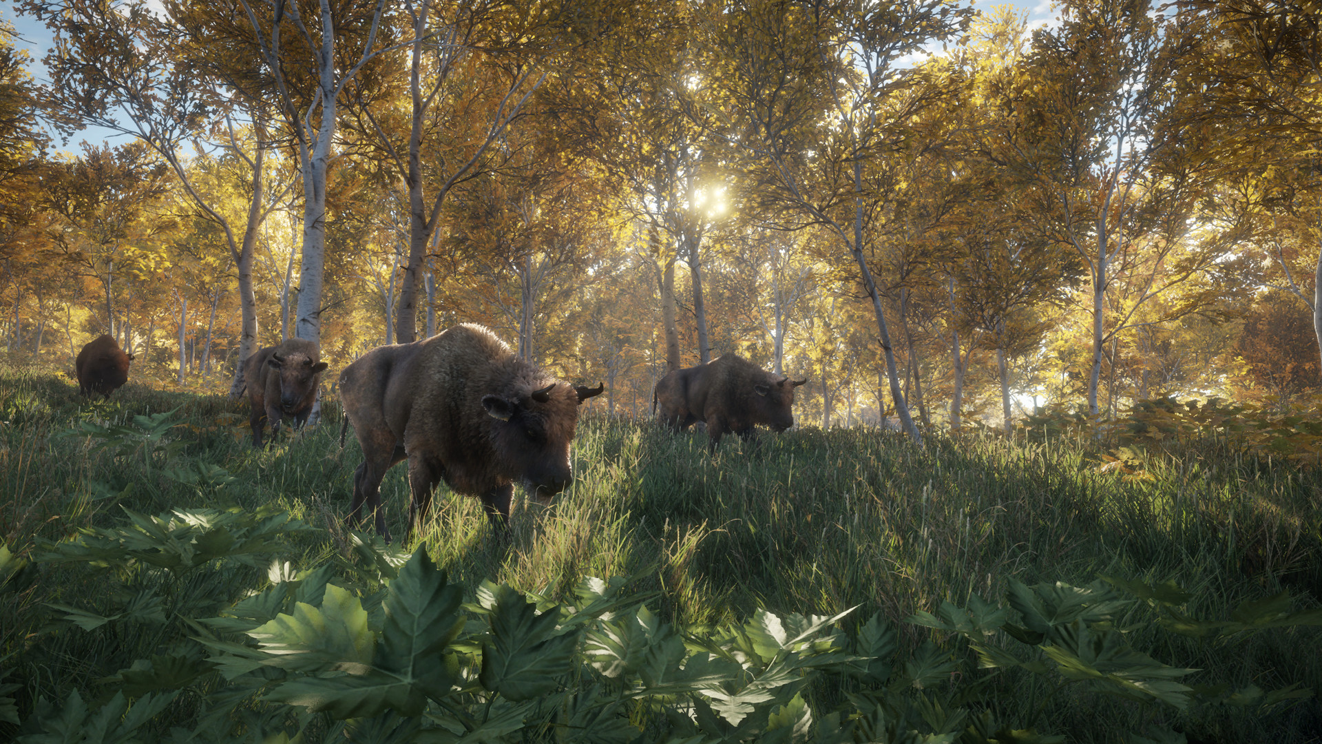 猎人:荒野的召唤|TheHunter Call of The Wild|3037268|整合全DLC