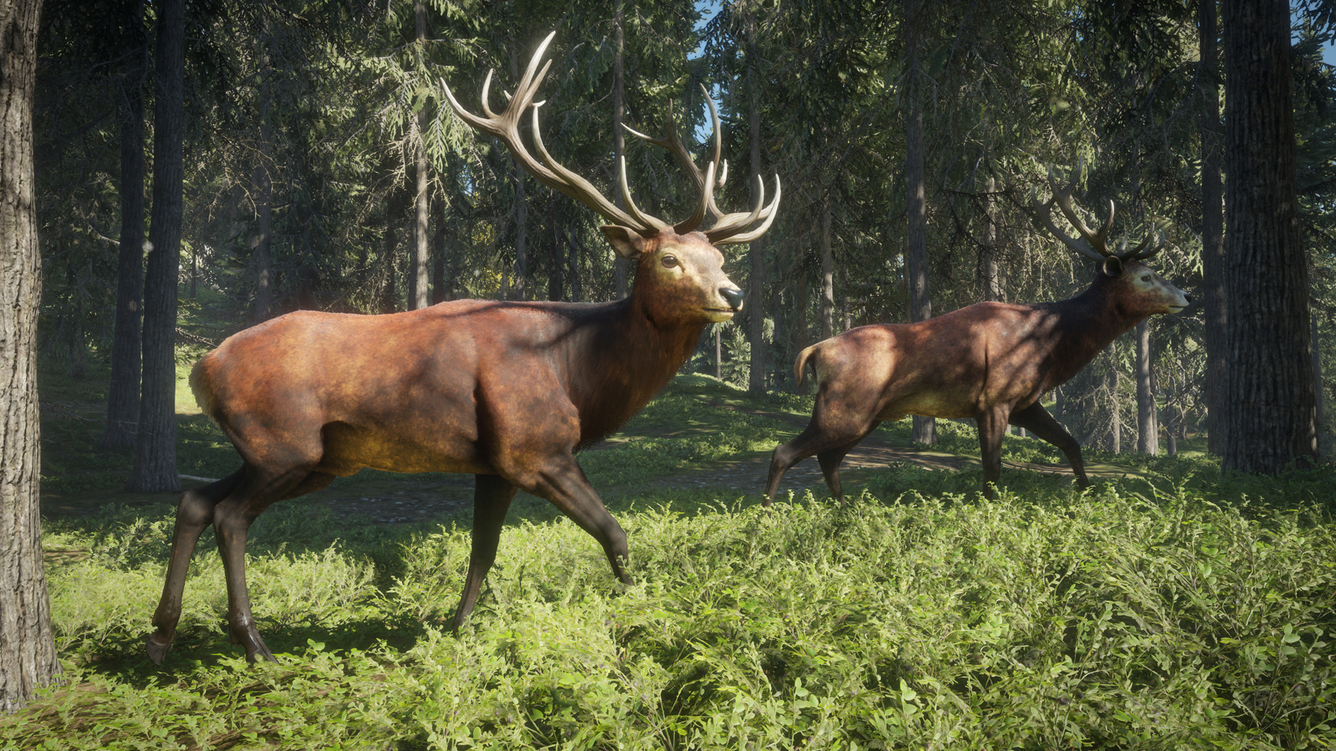 猎人:荒野的召唤|TheHunter Call of The Wild|3037268|整合全DLC