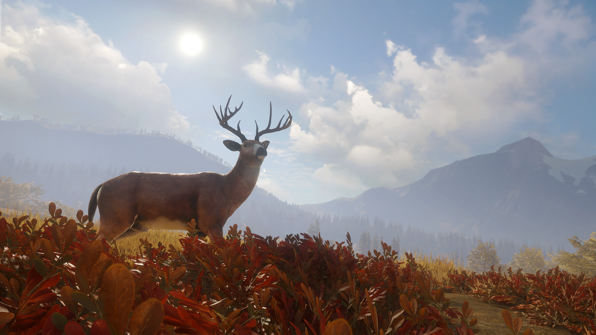 猎人:荒野的召唤|TheHunter Call of The Wild|3037268|整合全DLC
