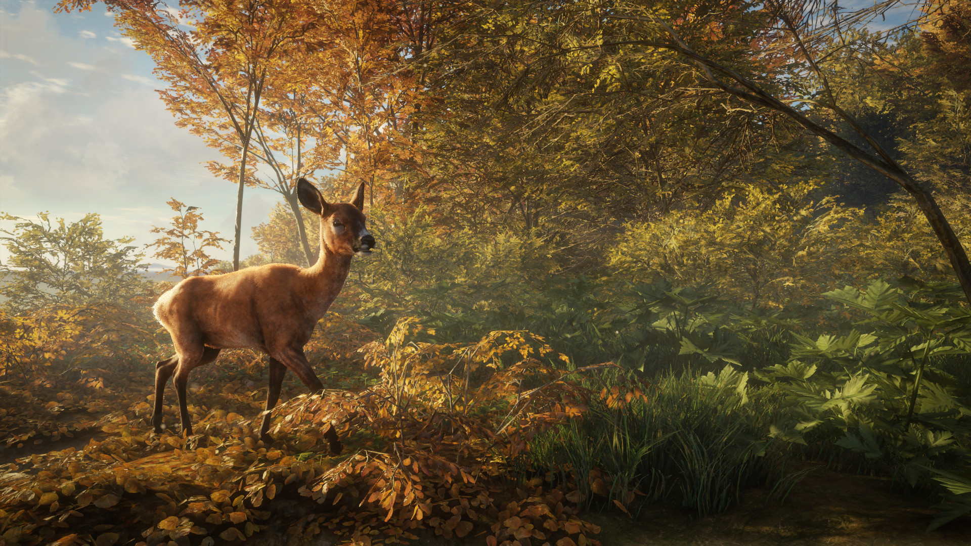 猎人:荒野的召唤|TheHunter Call of The Wild|3037268|整合全DLC