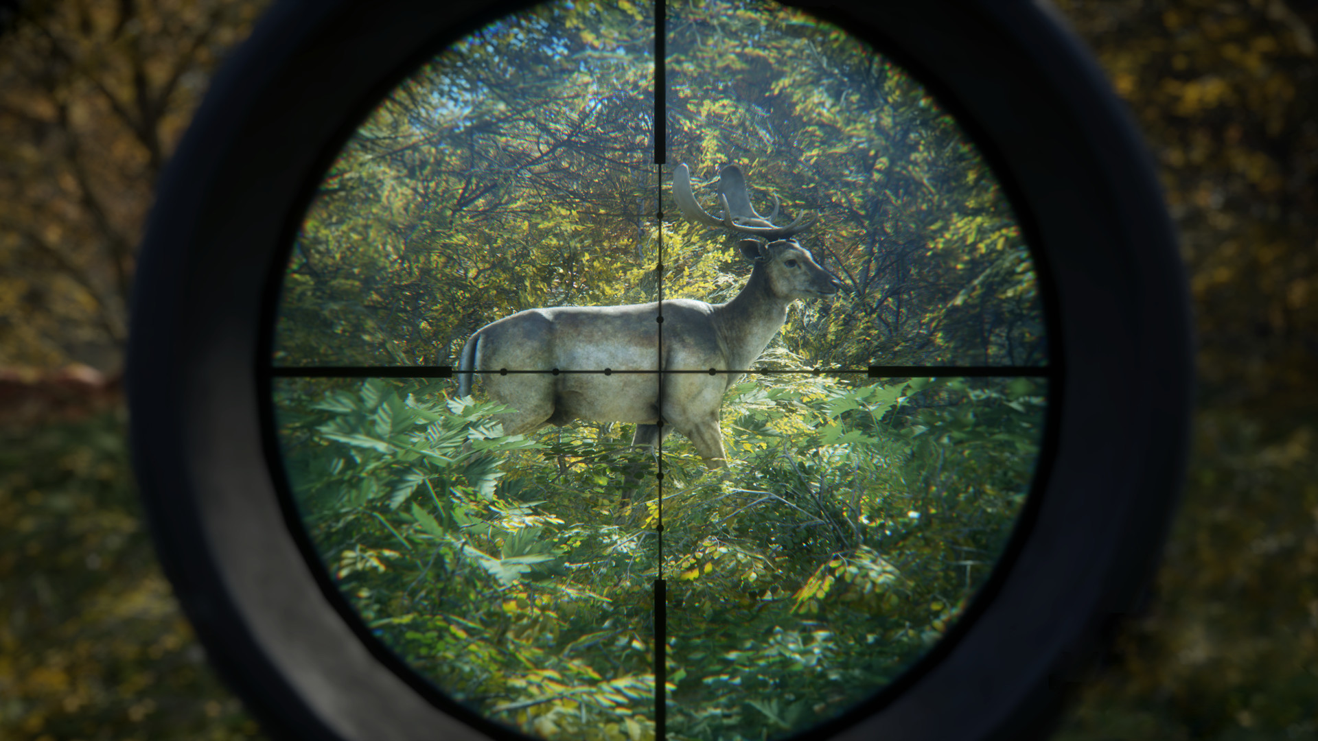 猎人：荒野的召唤 / theHunter: Call of the Wild