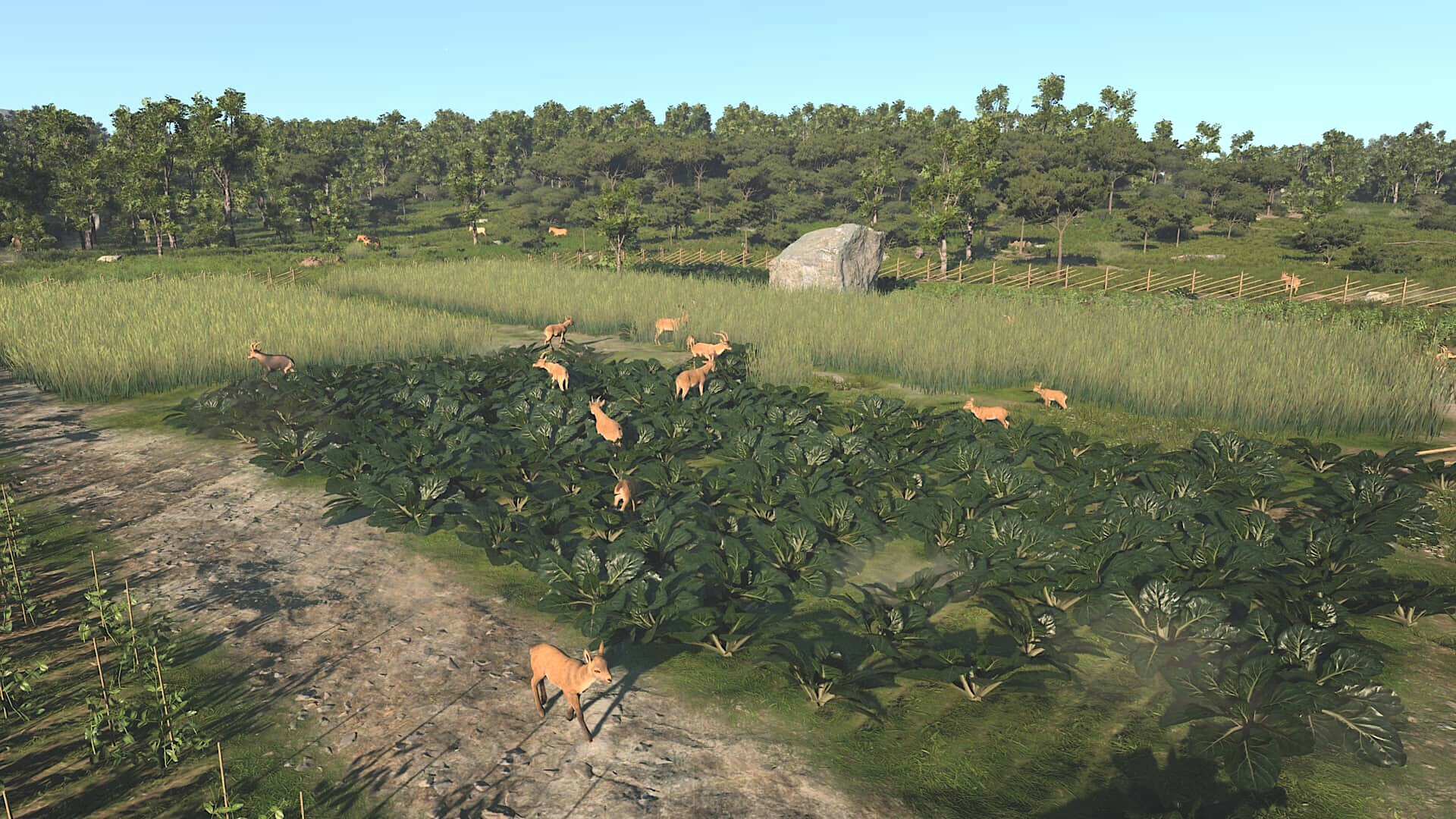 古城|Ancient Cities|1.0.6.5