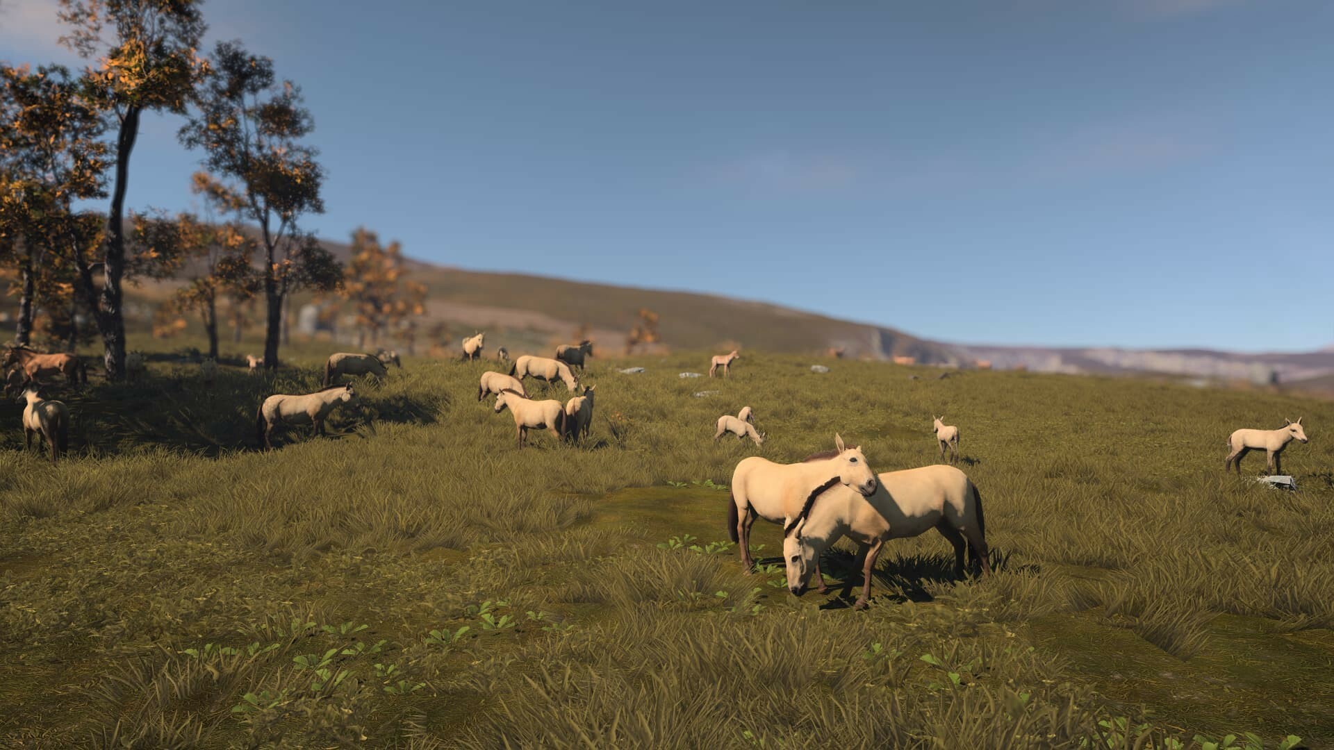 古城|Ancient Cities|1.0.6.5