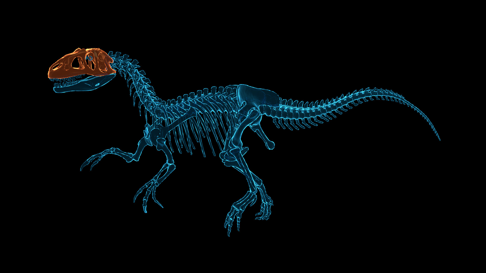 恐龙化石猎人|Dinosaur Fossil Hunter|2.5.11|整合全DLC