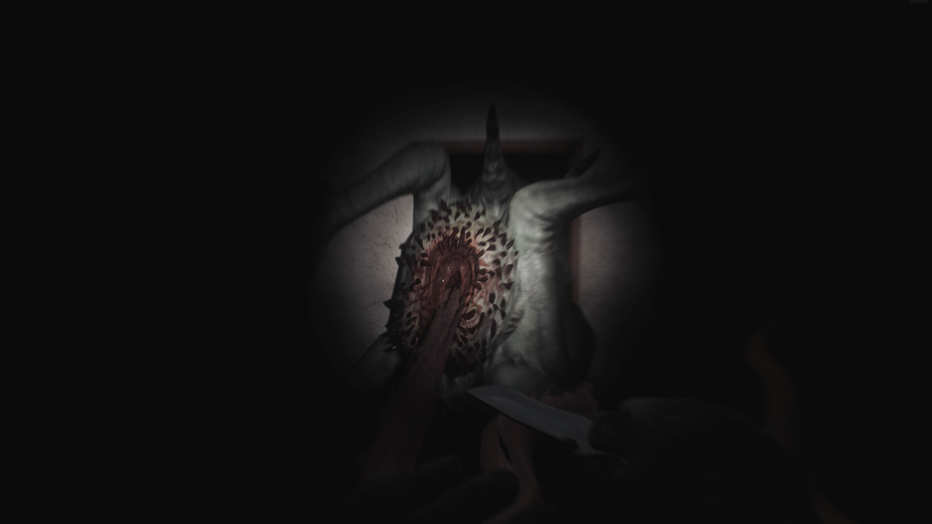 SCP:大流行病/SCP: 5K v0.16.0.72|恐怖冒险|容量34.8GB|免安装绿色中文版|支持键盘.鼠标-小辉娱乐网