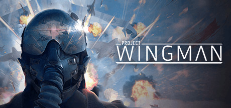 僚机计划 Project Wingman v2.0.11.B.33 支持VR -飞星（官中）-飞星免费游戏仓库