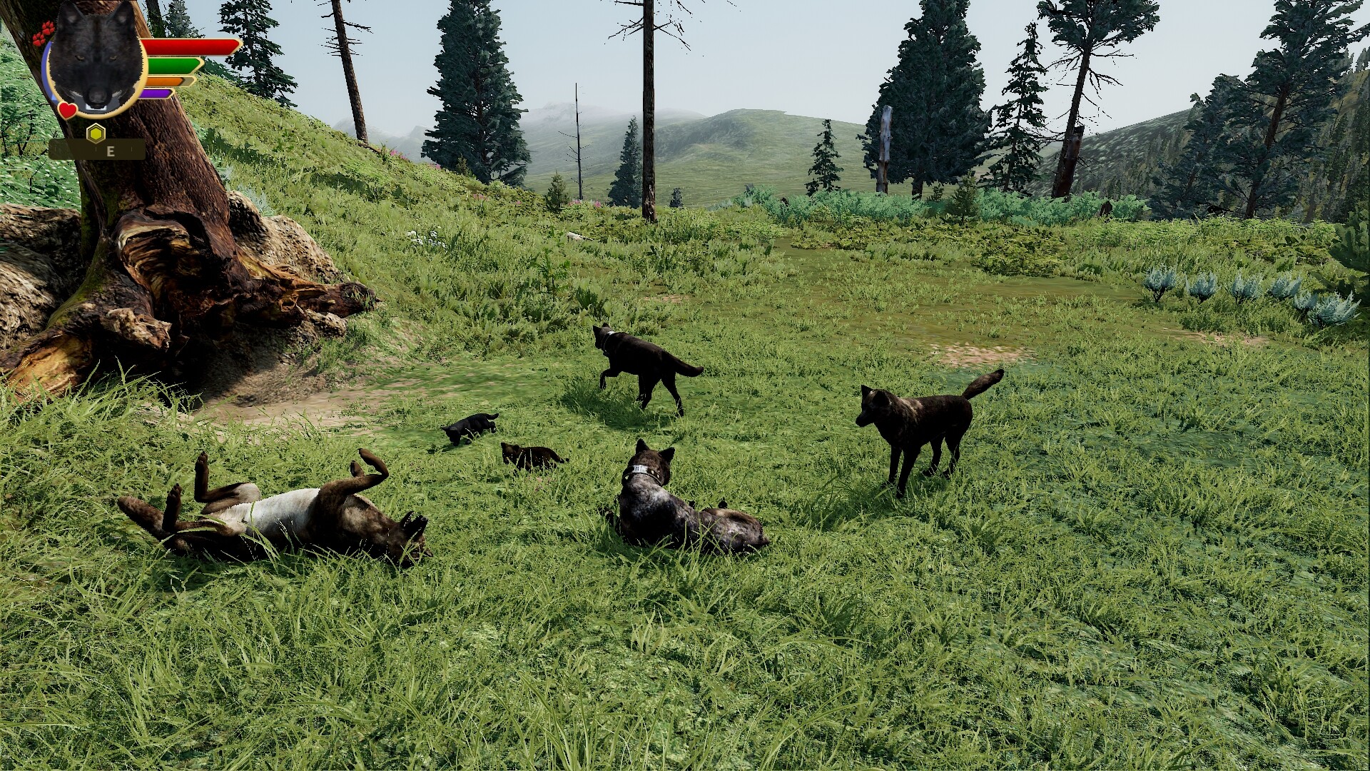 图片[19]-野狼谜踪：周年纪念/WolfQuest: Anniversary Edition Build.24797589|动作冒险|14.9GB|中文-蝶影二次元
