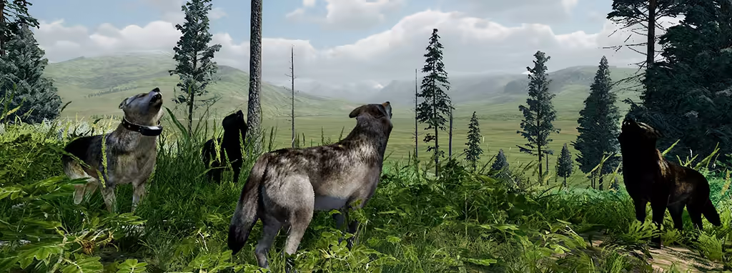 野狼谜踪：周年纪念版|支持手柄|WolfQuest: Anniversary Edition插图10