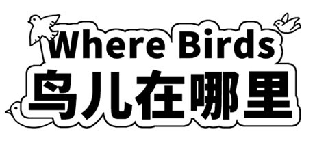 鸟儿在哪里